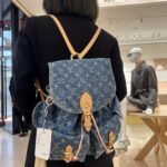 MONTSOURIS CARGO Backpack Model No.: M27330 Blue