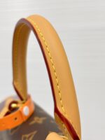 DIANE Medium Backpack Model No.: M29631 Monogram - Image 8