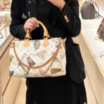 DIANE Medium Backpack Model No.: M29631 Monogram