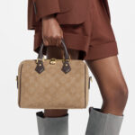 SPEEDY BANDOULIÈRE 25 Handbag M2A383, Light Brown