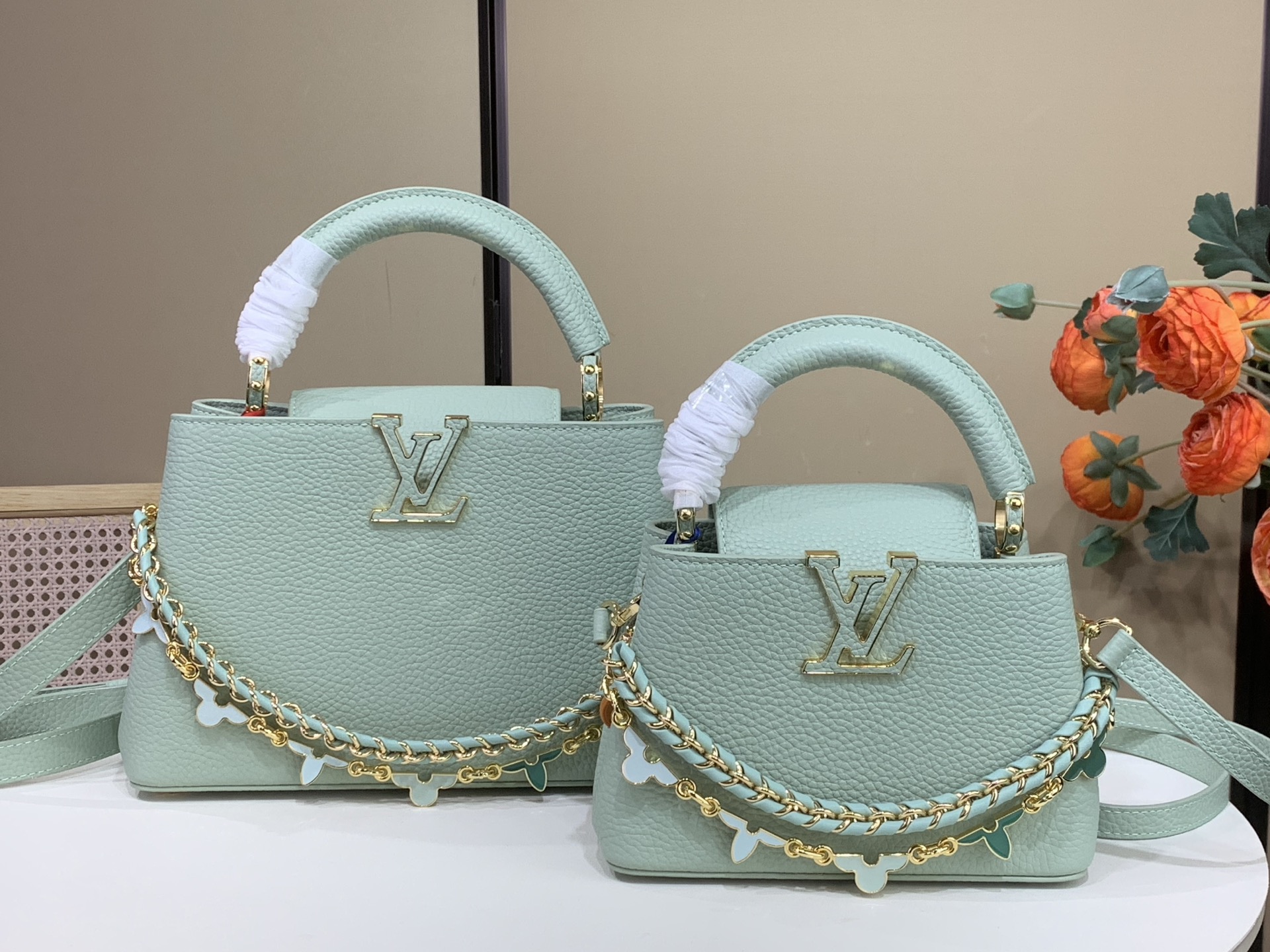1789641750243 CAPUCINES M29951 Handbag, Mint Green / Enamel (Macaron Tone) - Image 1