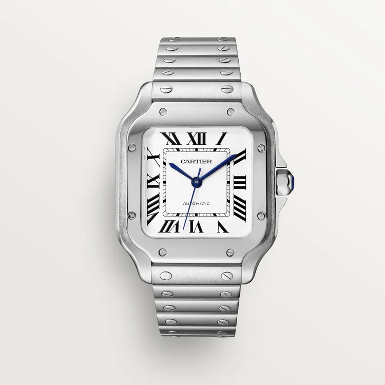 584c737806d050ff9897af644691f10d.webp Cartier / SANTOS DE CARTIER WATCH Ref. WSSA0029 - Image 1