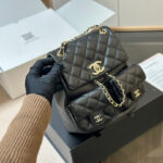 CHANEL Gabrielle caviar The homeless backpack 4 colors size: 20*20cm