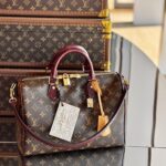 Speedy 30 Soft Celebration Handbag Model No.: M28379