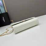 YSL Kat crocodile chain strap shoulder bag with gold hardware 7219 white size: 20*14*5cm/24*15*6cm - Image 6
