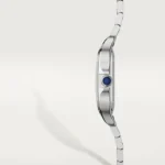Cartier / SANTOS DE CARTIER WATCH Ref. WSSA0029 - Image 4