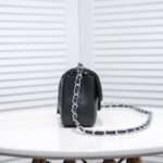 Chanel Cowhide with caviar with sliver hardware 1116 size: 20*14*7cm - Image 5