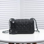 Chanel Cowhide with caviar with sliver hardware 1116 size: 20*14*7cm - Image 7