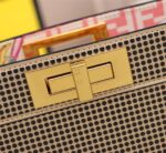 FENDI Iseeu Clip bag - Image 5