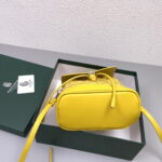 Goyard goyardalpin mini backpack yellow Size: 8.5*18.5*21.5cm - Image 5
