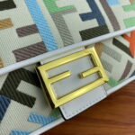 FENDI Baguette Rainbow F embroidery colors shoulderbag F2029 Size: 26*5*15CM - Image 8