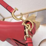 Dior saddle leather with Spaghetti straps red size: 25.5 *20 * 6.5cm - Image 8