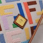 FENDI baguette bag Colorful rainbow F embroidery colors F2029 SIZE:26*5*15CM - Image 4