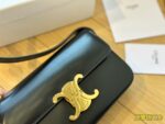 CELINE TRIOMPHE Crossbody bag Black/White/Brown/red  20cm - Image 15