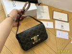 CELINE TRIOMPHE Presbyopia pattern Crossbody bag Black size: 19*15cm - Image 2