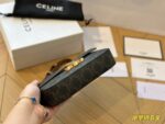 CELINE TRIOMPHE Presbyopia pattern Crossbody bag Black size: 19*15cm - Image 3