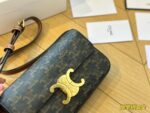 CELINE TRIOMPHE Presbyopia pattern Crossbody bag Black size: 19*15cm - Image 4