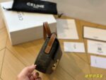 CELINE TRIOMPHE Presbyopia pattern Crossbody bag Black size: 19*15cm - Image 7