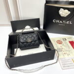 Chanel dark horse Kelly lychee colored cowhide long handle bag