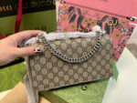 Gucci diamond buckle Dionysian chain bag size:25*13cm - Image 3