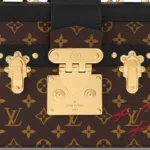 Louis Vuitton / LV Petite Malle Capitale M46755 - Image 5
