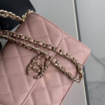 Chanel dark horse Kelly lychee colored cowhide long handle bag - Image 5