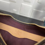 Louis Vuitton / LV odeon monogram m45832 Crossbody bag size: 27*16*10cm - Image 9